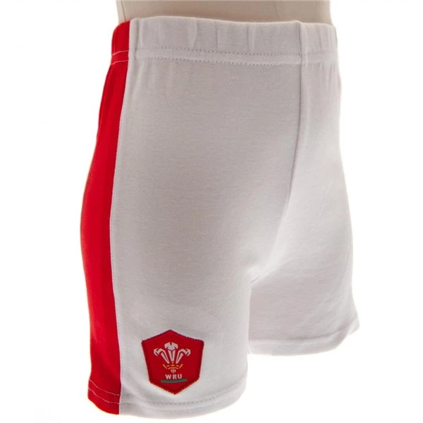 Maillot Pays De Galles Rugby 352599 3 Maillot Pays De Galles Rugby 352599 – Image 3