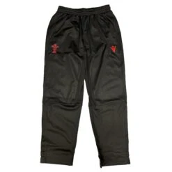 Pantalon Pays De Galles Rugby 2021/22 (Noir)