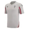 T-shirt Pays De Galles Rugby 2022/23 (Gris)