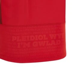 MAILLOT RUGBY REPLICA PAYS DE GALLES DOMICILE ADULTE 2023/2024 - MACRON -Magasin De Sport De Rugby maillot rugby replica pays de galles domicile adulte 20232024 macron 4