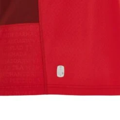 MAILLOT RUGBY REPLICA PAYS DE GALLES DOMICILE ADULTE 2023/2024 - MACRON -Magasin De Sport De Rugby maillot rugby replica pays de galles domicile adulte 20232024 macron 5